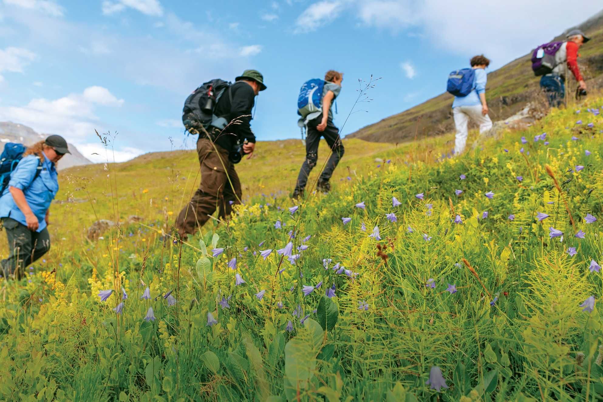 Save 5% on group travel with Lindblad Expeditions